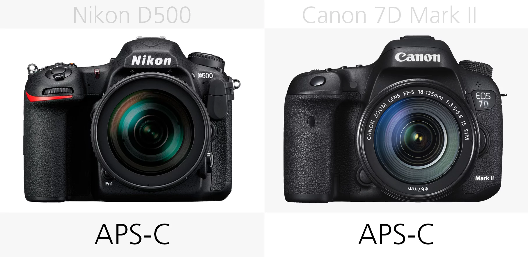 Sensor size comparison of the Nikon D500 and Canon 7D Mark II