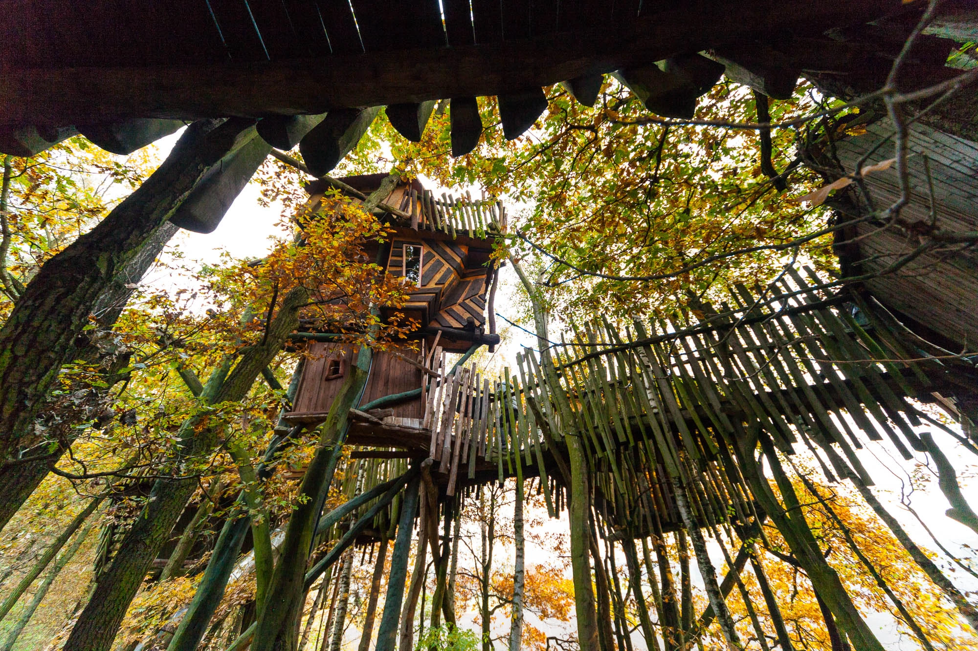 Kulturinsel Einsiedel: the treehouse hotel