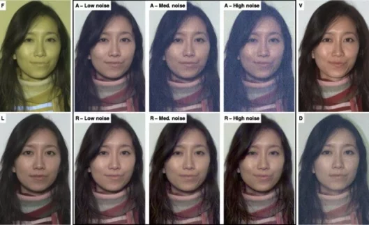 Column 1 shows the dark ﬂashshot (F) and long exposure reference (L). Our results are shown in Columns 2,3 & 4. For each ambient image (A) of decreasing exposure(yielding increased noise), we show the reconstructed output (R). Column 5 shows a visible ﬂash image (V), along with a visible ﬂash shot(D) attenuated with neutral density ﬁlters so that it is comparably dazzling to F. The Low, Medium and High noise levels correspond to 6, 7and 8 stops of underexposure respectively (corresponding to 1/64th, 1/128th and 1/256th of ambient long exposure).