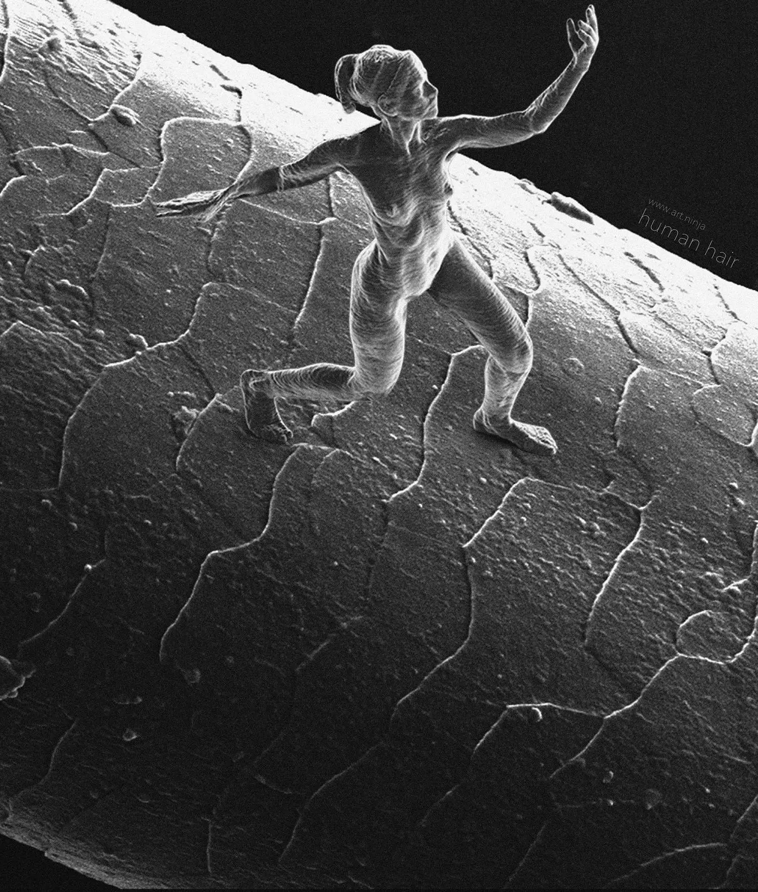 The sculpture "Trust" shown standing on a human hair (Photo: Jonty Hurwitz)