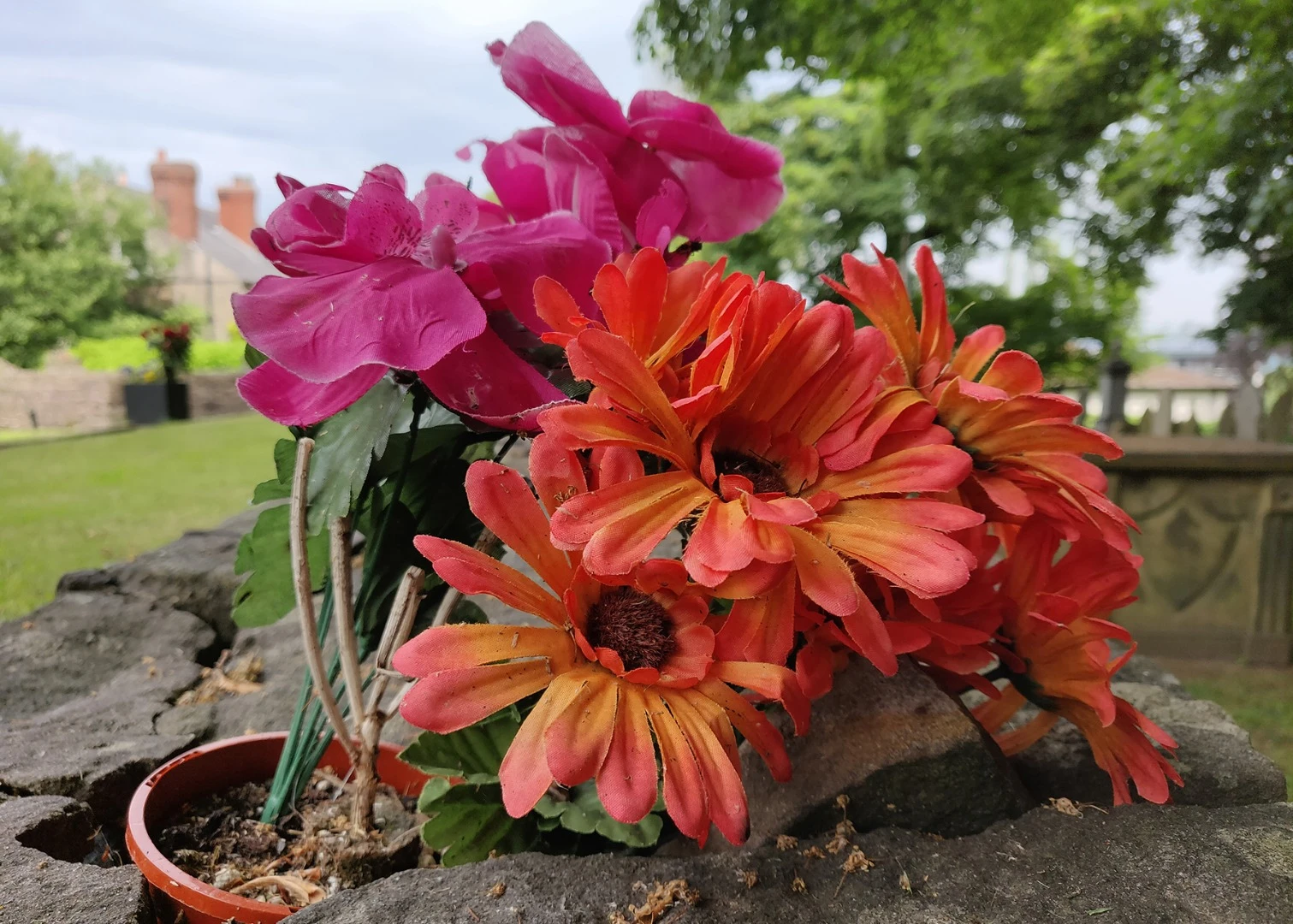 The OnePlus 6 handles macro shots well too, and gives you snaps that are worth showing off