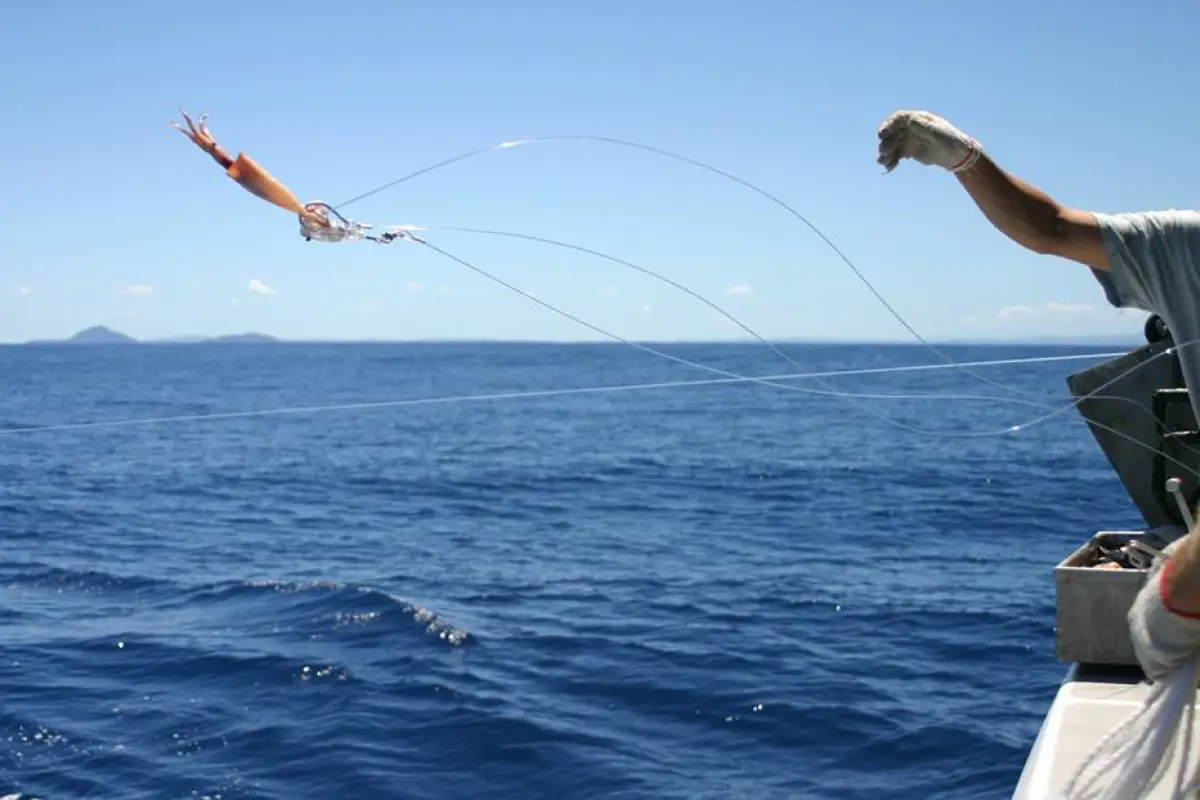 A Hookpod-equipped baited hook is deployed