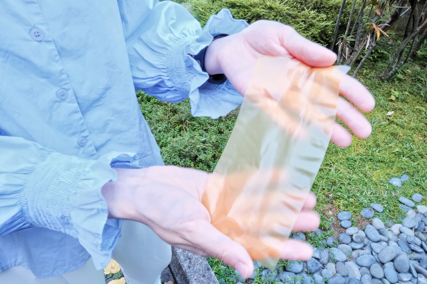 Unlike the case with previously developed paper-erasing systems, erasing the pollen-based paper doesn't require the use of harsh solvents or high-intensity light, both of which could damage the paper over time