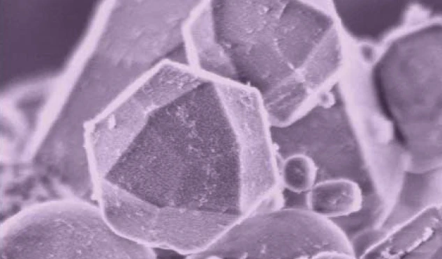 A team of scientists has shown that carbon nanotubes can be broken down by an enzyme found in white blood cells