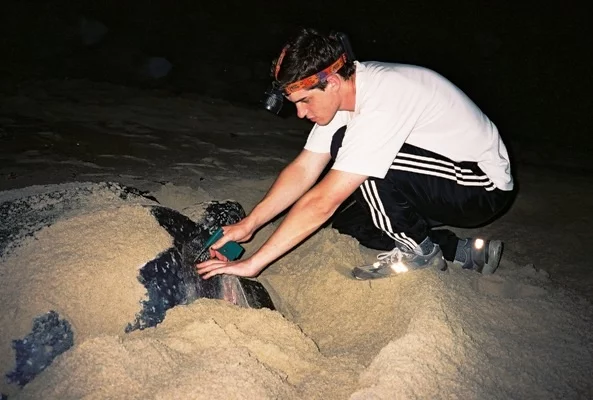 Earthwatch's "Trinidad's Leatherback Sea Turtles" expedition (Photo: Kim Coyne)