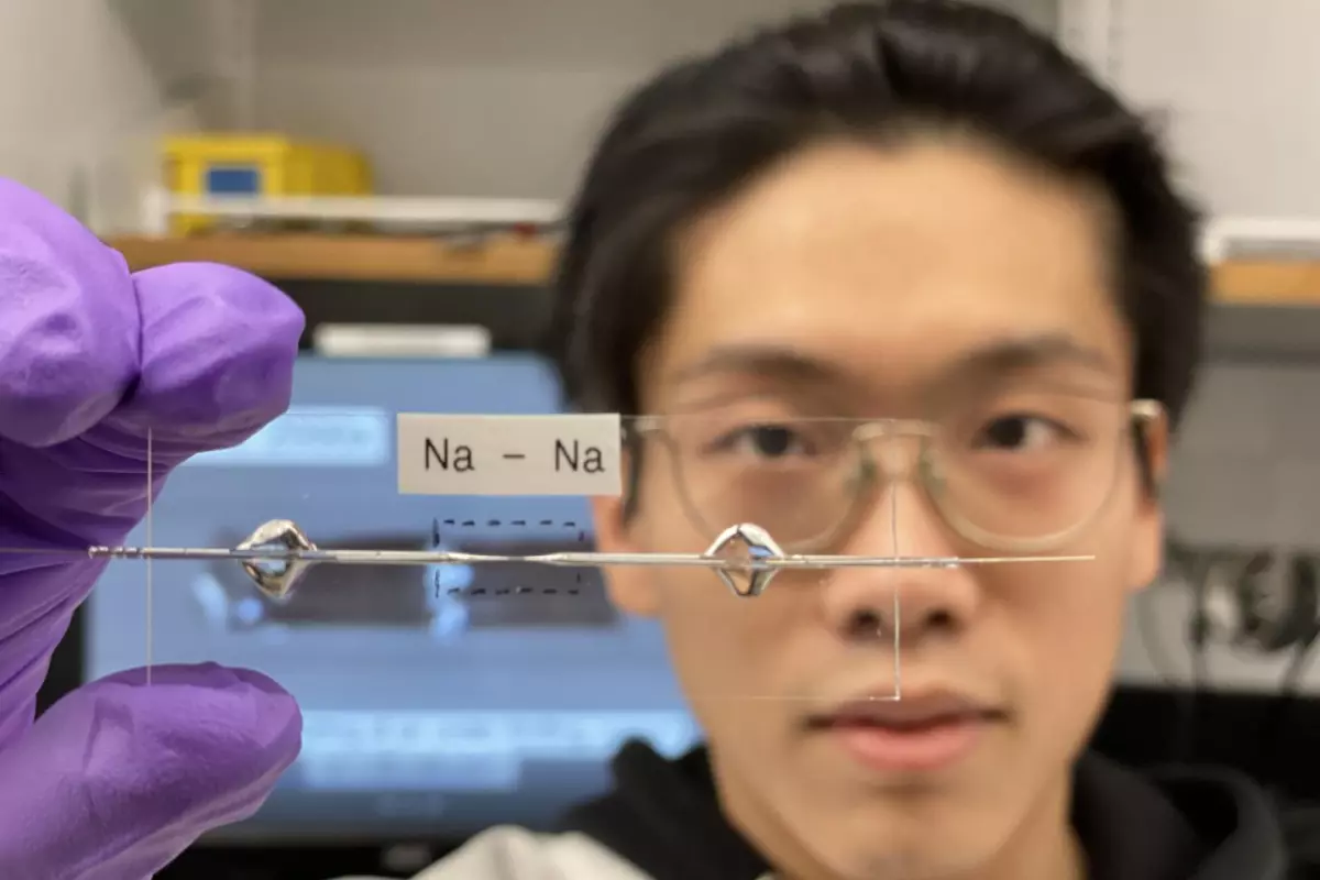 Researcher at Washington University in St Louis Bingyuan Ma holds up a transparent capillary cell, used to optimize the performance of an experimental sodium battery
