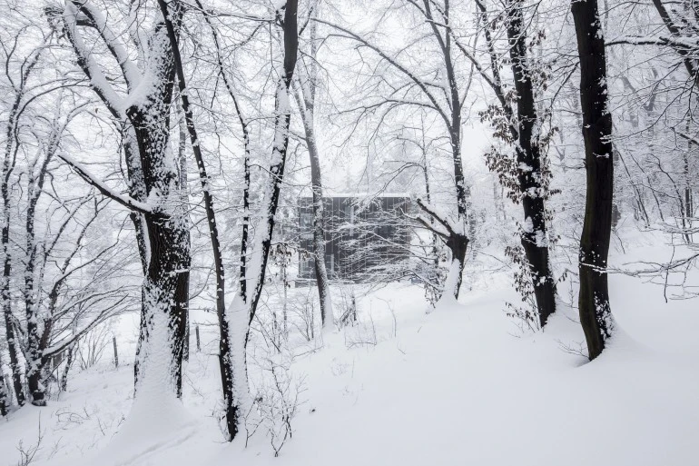 Black Magic House is located on the edge of a Budapest forest (Photo: Zsolt Batár)