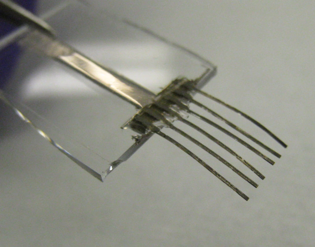 Scientists at Berkeley Lab and the University of California have created "e-whiskers" that mimic those of cats
