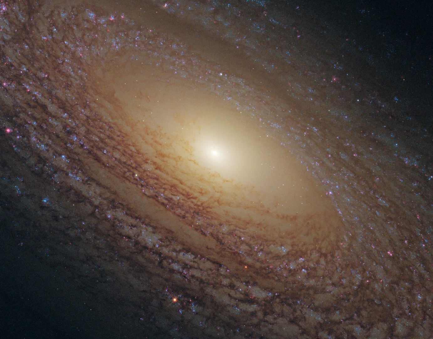 The driving force behind star formation is particularly unclear for a type of galaxy called a flocculent spiral, such as NGC 2841 shown here, which features short spiral arms rather than prominent and well-defined galactic limbs (Credit: NASA, ESA and the Hubble Heritage (STScI/AURA)-ESA/Hubble Collaboration Acknowledgment: M. Crockett and S. Kaviraj (Oxford University, UK), R. O'Connell (University of Virginia), B. Whitmore (STScI) and the WFC3 Scientific Oversight Committee.)