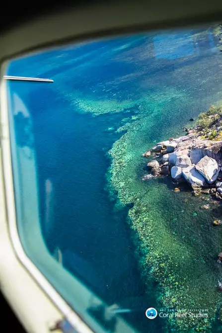 Shot from an aerial survey of the Great Barrier Reef