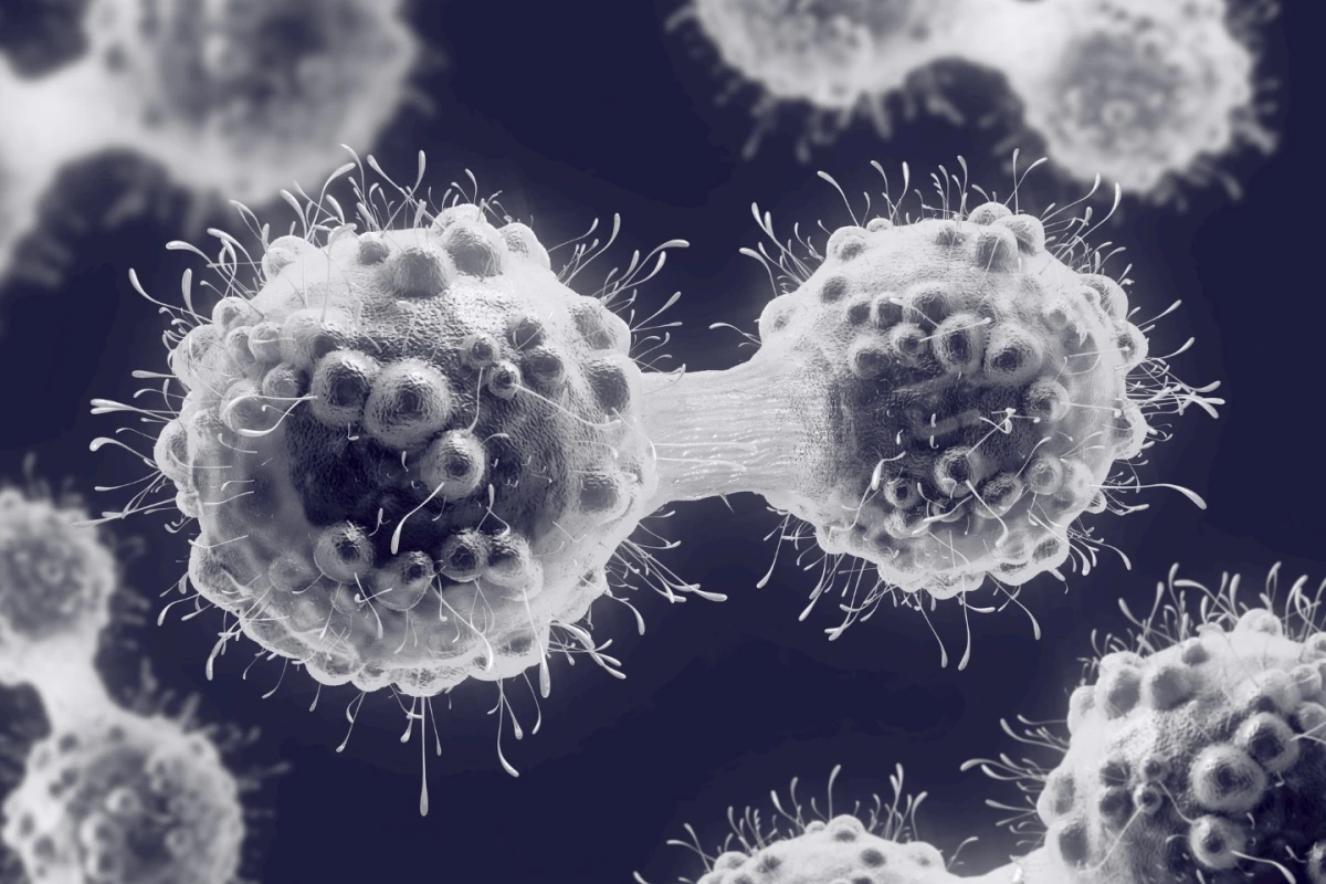Australian researchers have developed a molecule that could help stop cancer cells from dividing out of control