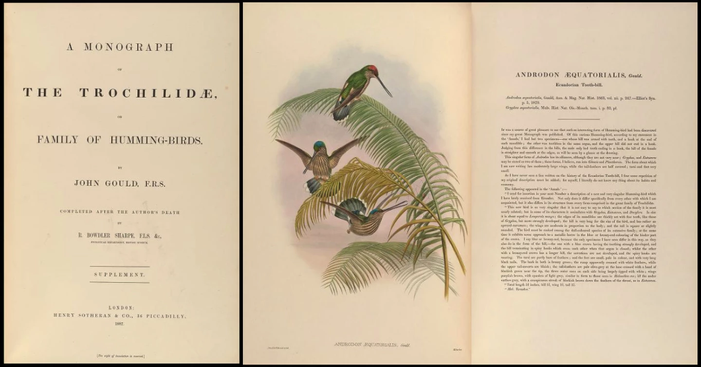 $187,500 | A Monograph of the Trochilidae, or Family of Hummingbirds by John Gould | Auction House: Arader Galleries (no link) | Sale price: US$187,500 | Official Estimate: US$200,000 to $300,000 | Date of sale: September 29, 2018