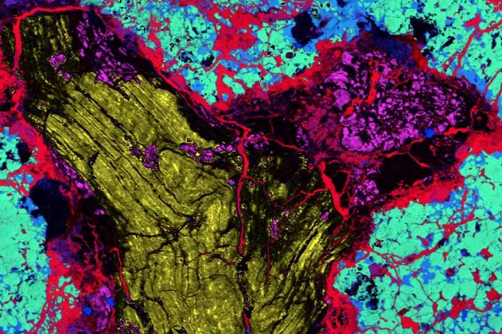 An electron probe microanalyser image of a meteorite fragment, showing different minerals present. Iron (red), magnesium (green), silicon (blue), lonsdaleite (yellow), and diamond (pink)