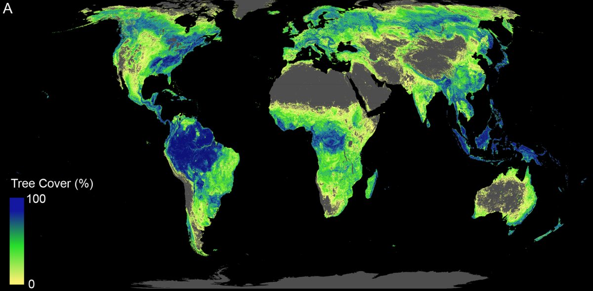This chart shows the land available for reforestation, excluding deserts, agricultural and urban areas, as well as current forestland