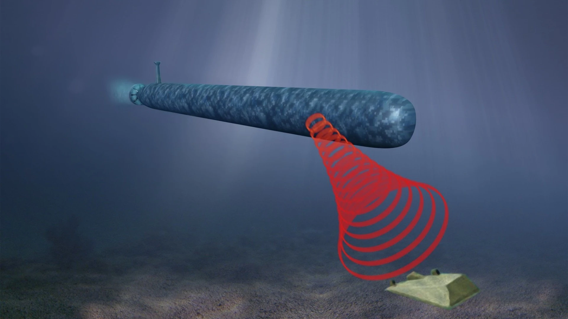 Knifefish can autonomously hunt and identify buried and unburied seamines