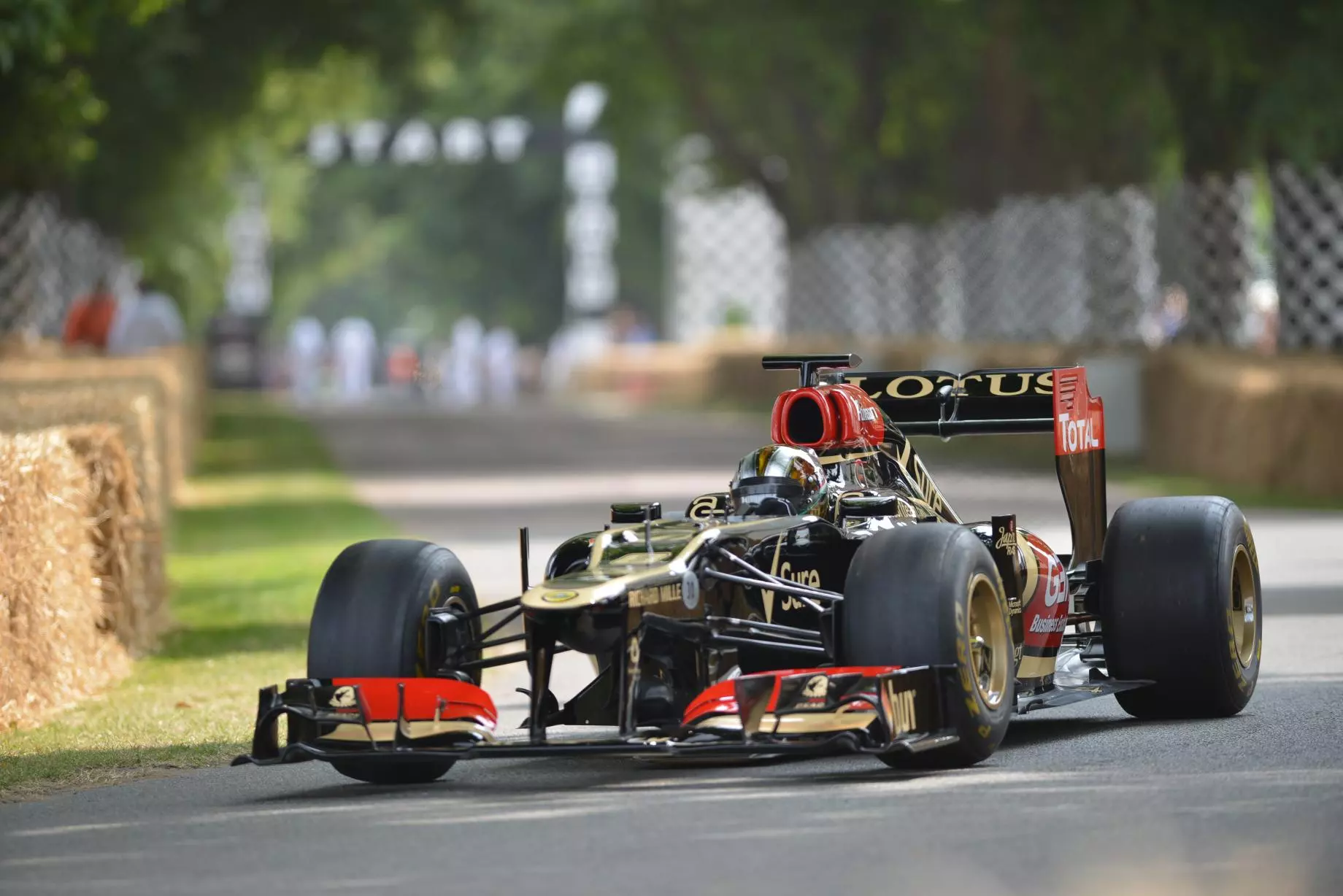 Lotus-Renault R30