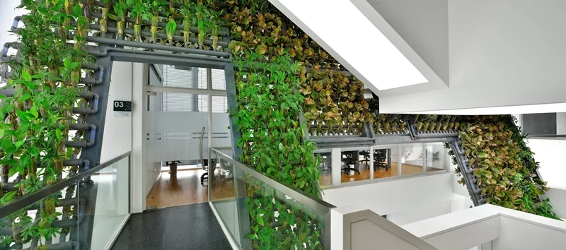 Ingameoffice has installed a green wall system into the TYJ Office Building in Shenzhen, China
