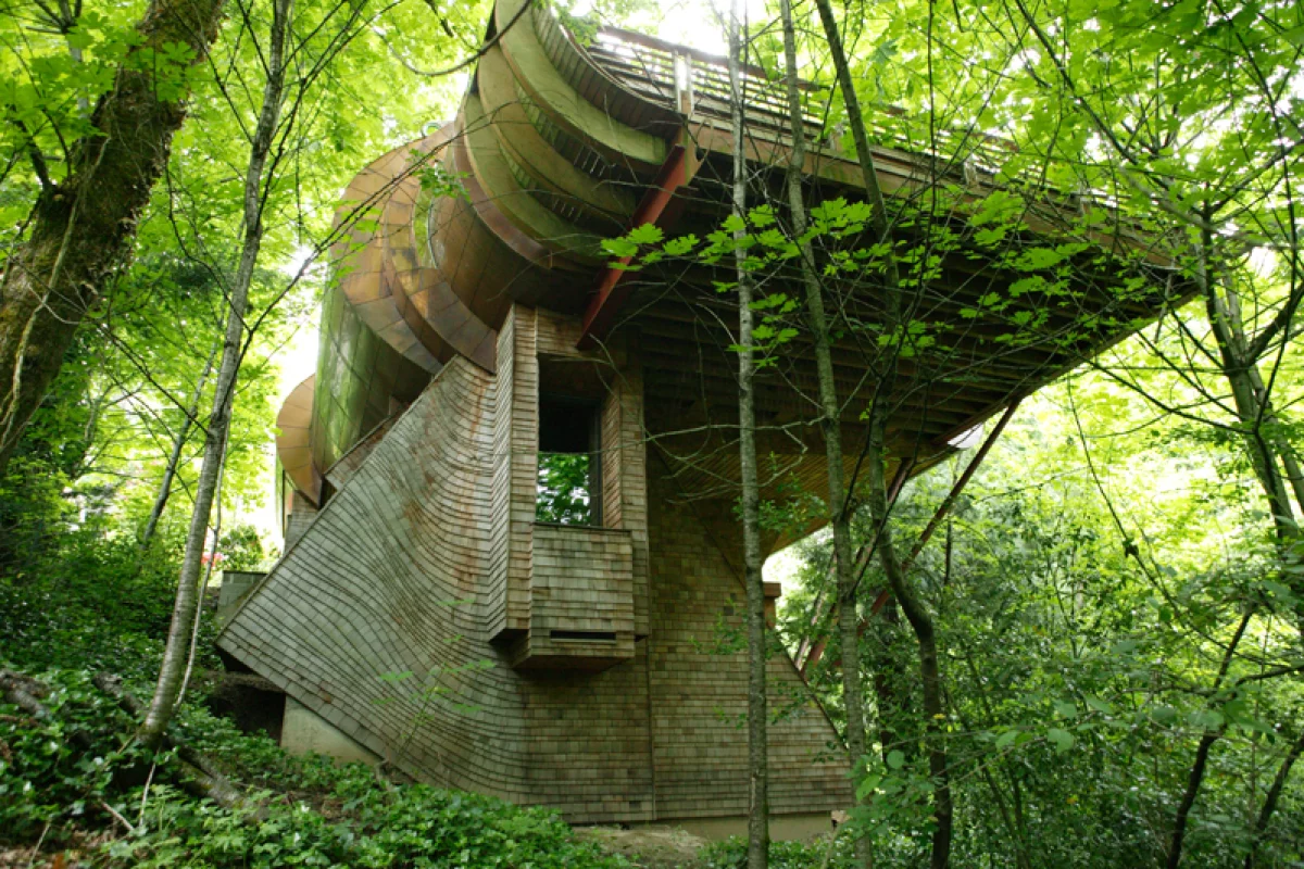 Roy Wilkinson must have the coolest house on the block.