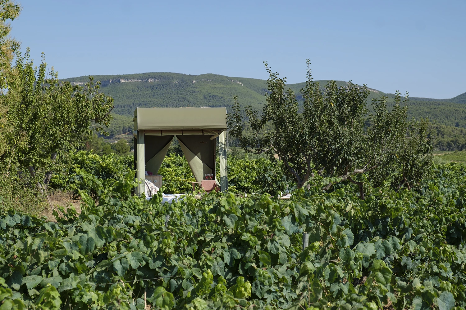 The Pinea Mobile model pictured is currently situated in a vineyard near Barcelona, Spain
