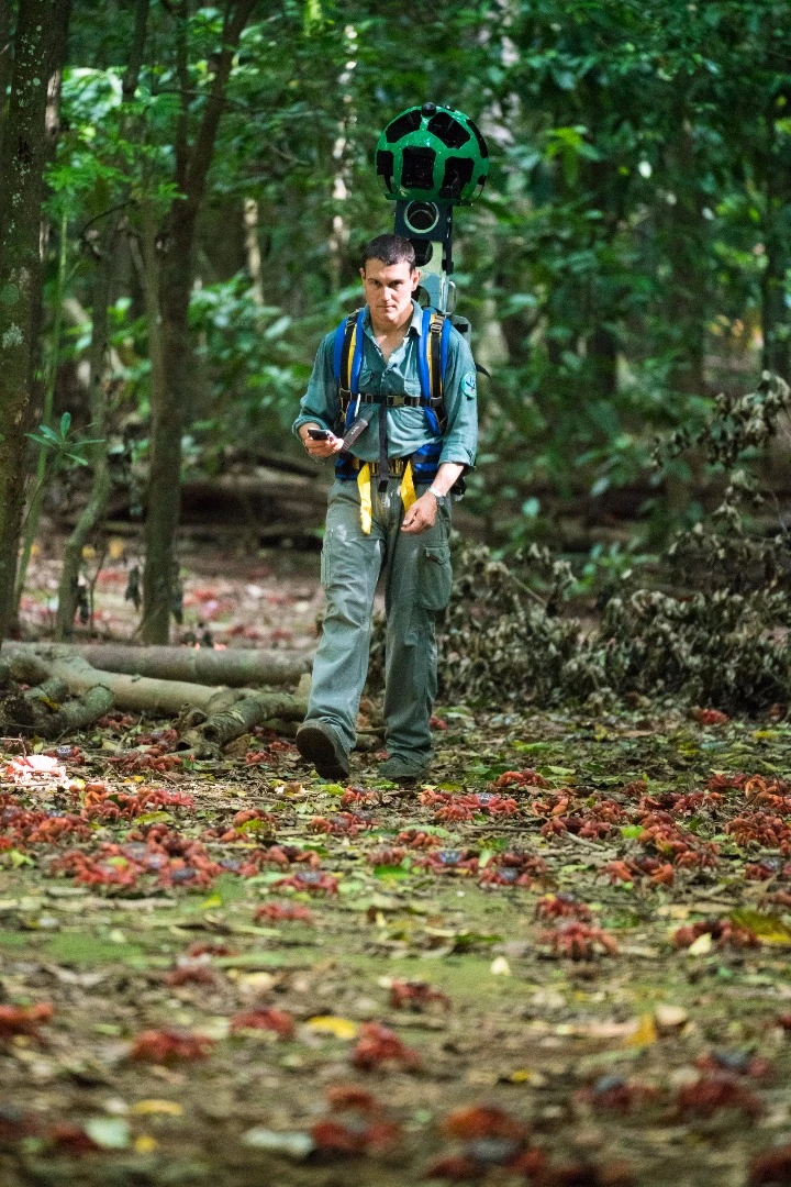 More than 45 million red crabs emerge from the forest on Christmas Island and head down to the coast, where they lay their eggs in the sand each year
