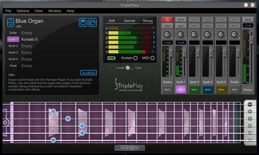 The TriplePlay software's user interface has a patch bank top left, a sensitivity window in the middle, mixers to the right and a virtual fingerboard down below (Image: Paul Ridden/Gizmag)