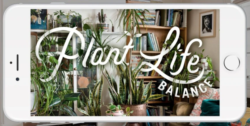 Science tells us that plants can give air quality a boost