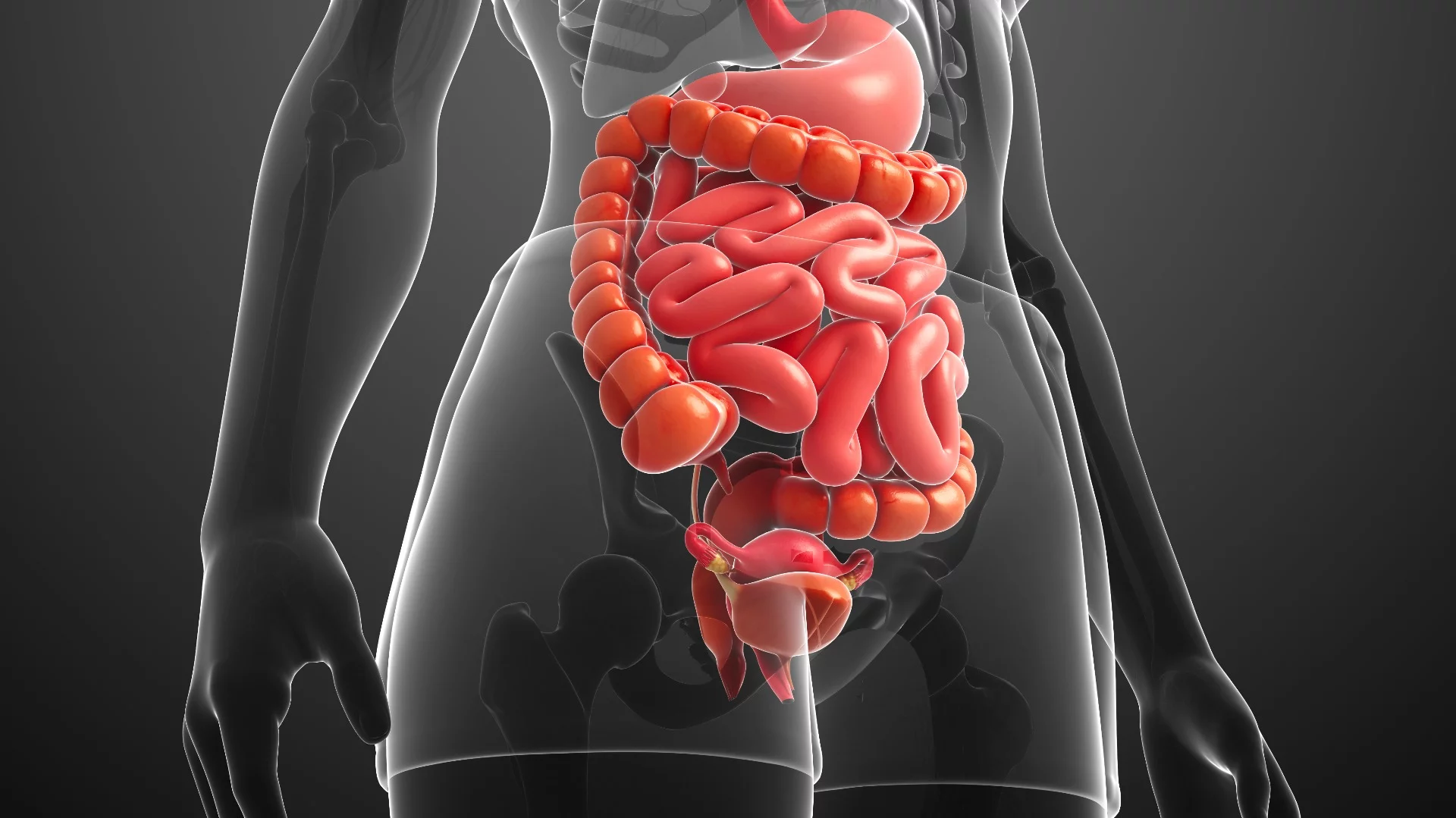 Could the key to helping autistic children lie in their gut?