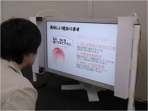 Odors appear to emanate from different regions of the "smell screen"