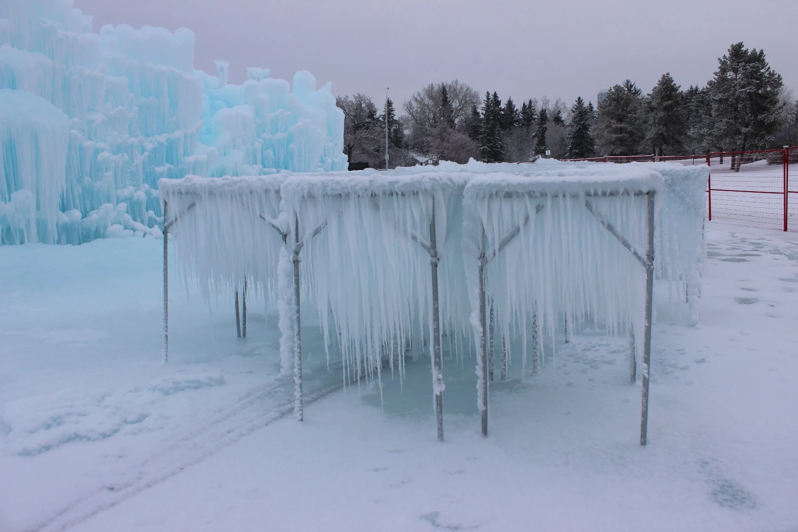 The icicles are grown on-site, by continuously sprinkling water over a series of metal racks