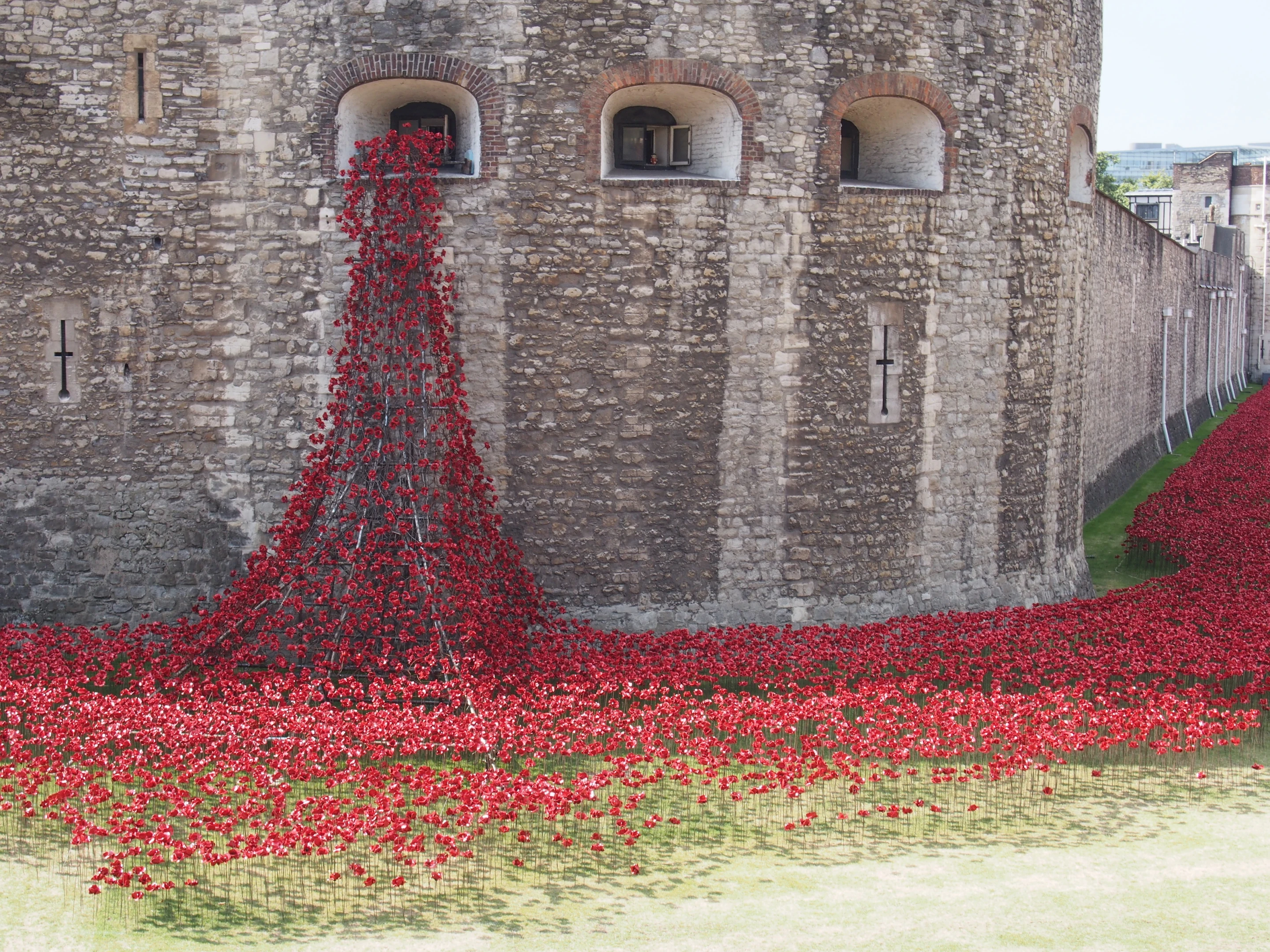 Blood swept lands and seas of red, at the Tower of London (Photo: Adam Williams/Gizmag)