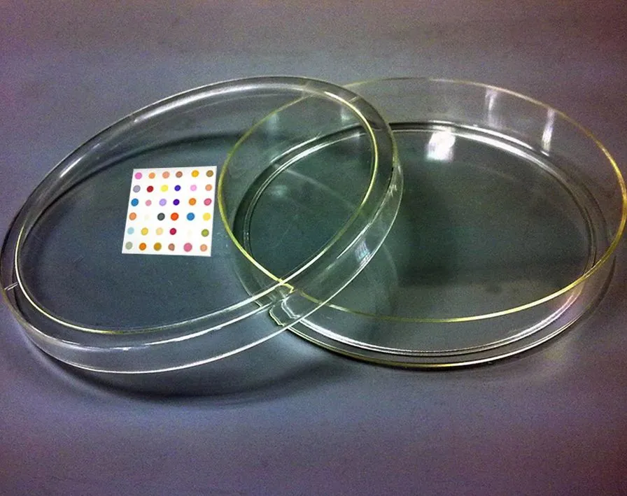 A chemist has developed an 'artificial nose' system, that can identify infectious bacteria based on the airborne chemicals that they produce (Photo: K.S. Suslick)