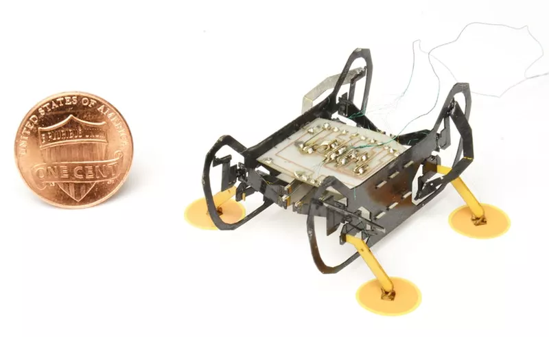 HAMR-E is based on an earlier Harvard robot that can scurry around like bugs and even walk on water