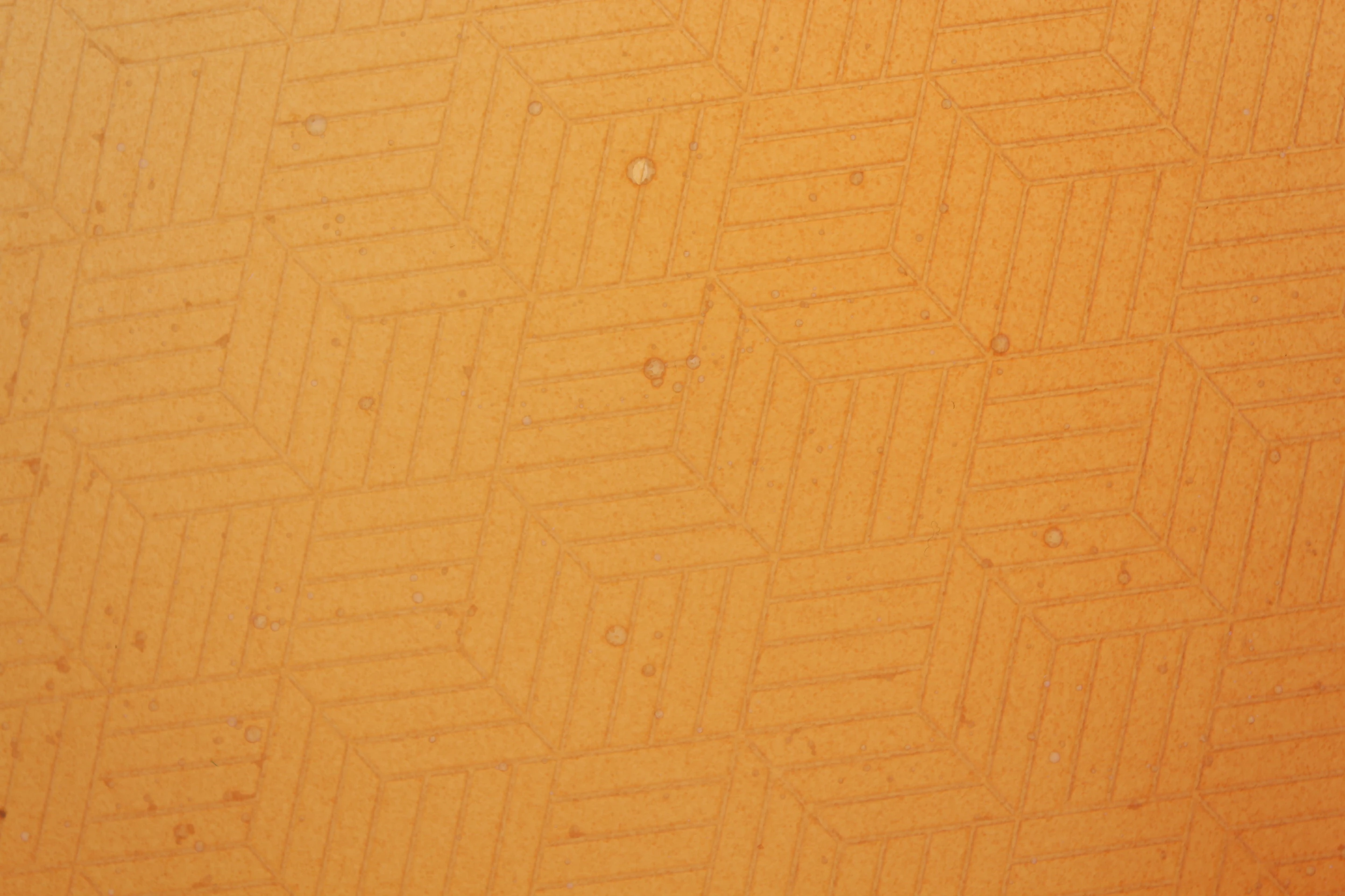 Samples of patterned mycelium leather