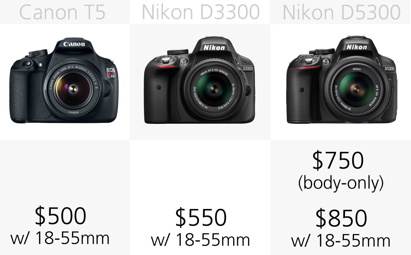 The entry-point for beginners into the DSLR fun is currently around the US$500 mark for a new current generation camera