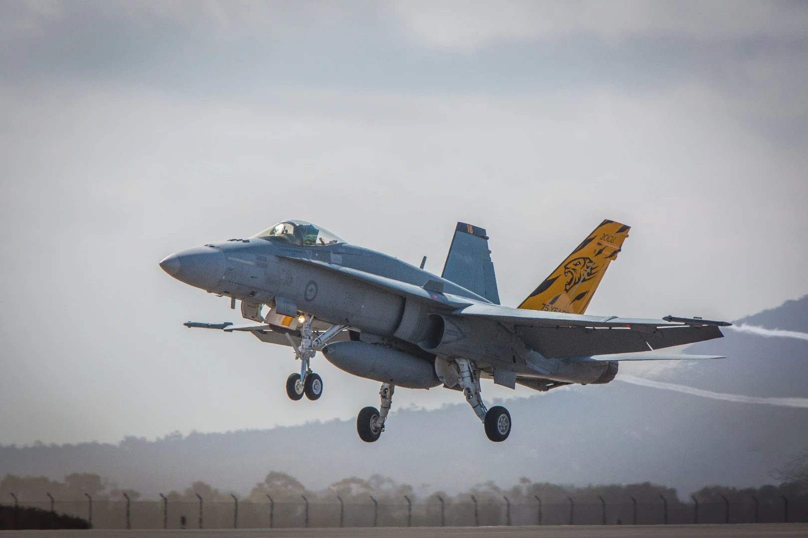 RAAF F/A-18 Hornet