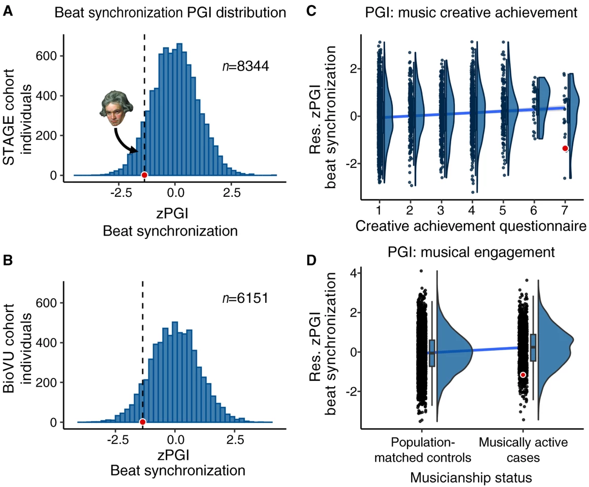 Beethoven’s polygenic index (PGI) for beat synchronization ranks between the 9th and 11th percentile of modern samples’ beat synchronization PGI.