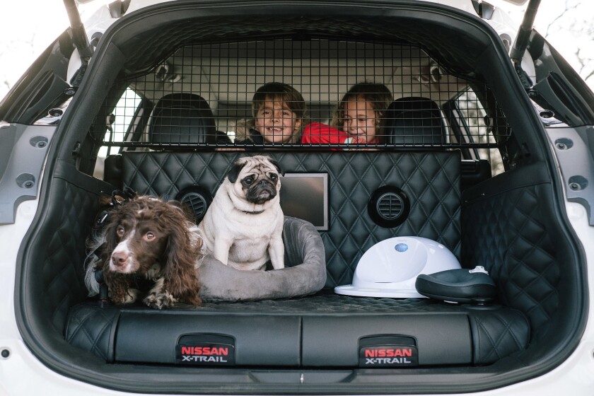 The Nissan X-Trail 4Dogs concept keeps two dogs comfy on drives of all kinds