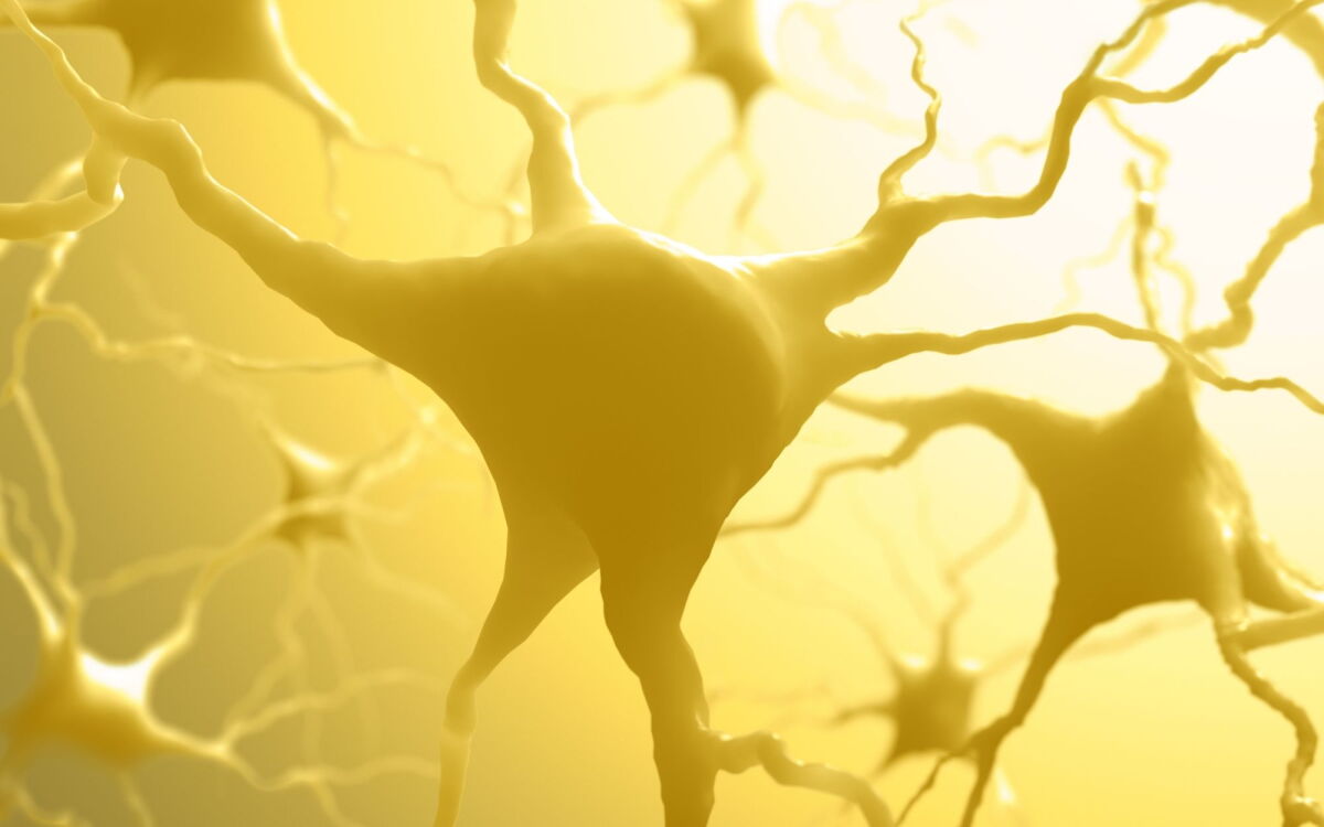 Alzheimer's hope: Nanoparticles regenerate cells to restore memory