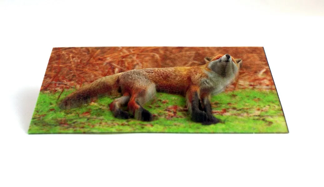 BumpyPhoto of a fox