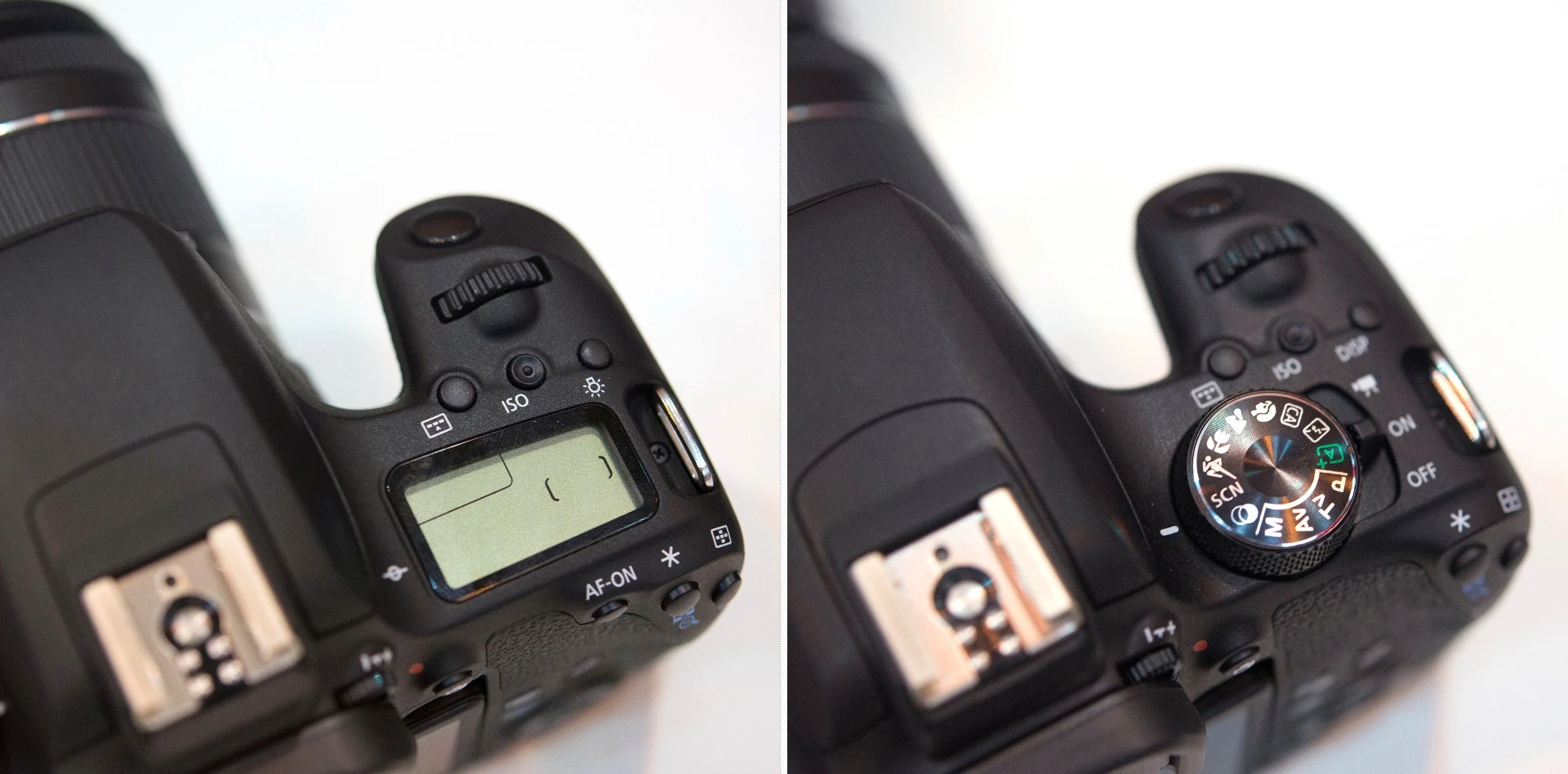 The grip on the Canon EOS 77D (left) and Canon EOS 800D (also known as the Rebel T7i) makes the cameras easy to hold