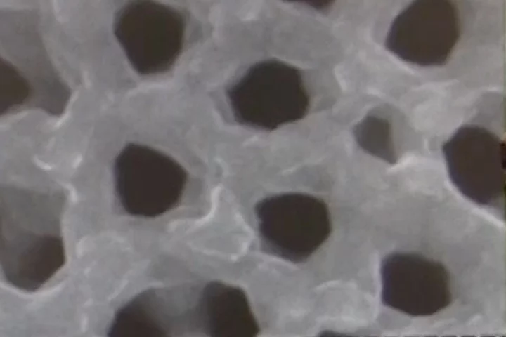A top view of the nanopores, each of which is a separate battery in its own right
