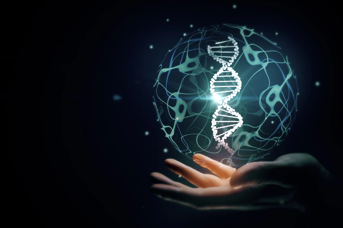 The dawn of a new age of superhumans could nearly be upon us. Humanity will begin steering its own evolution for the first time in history, with some predictable results and some we can't see coming.