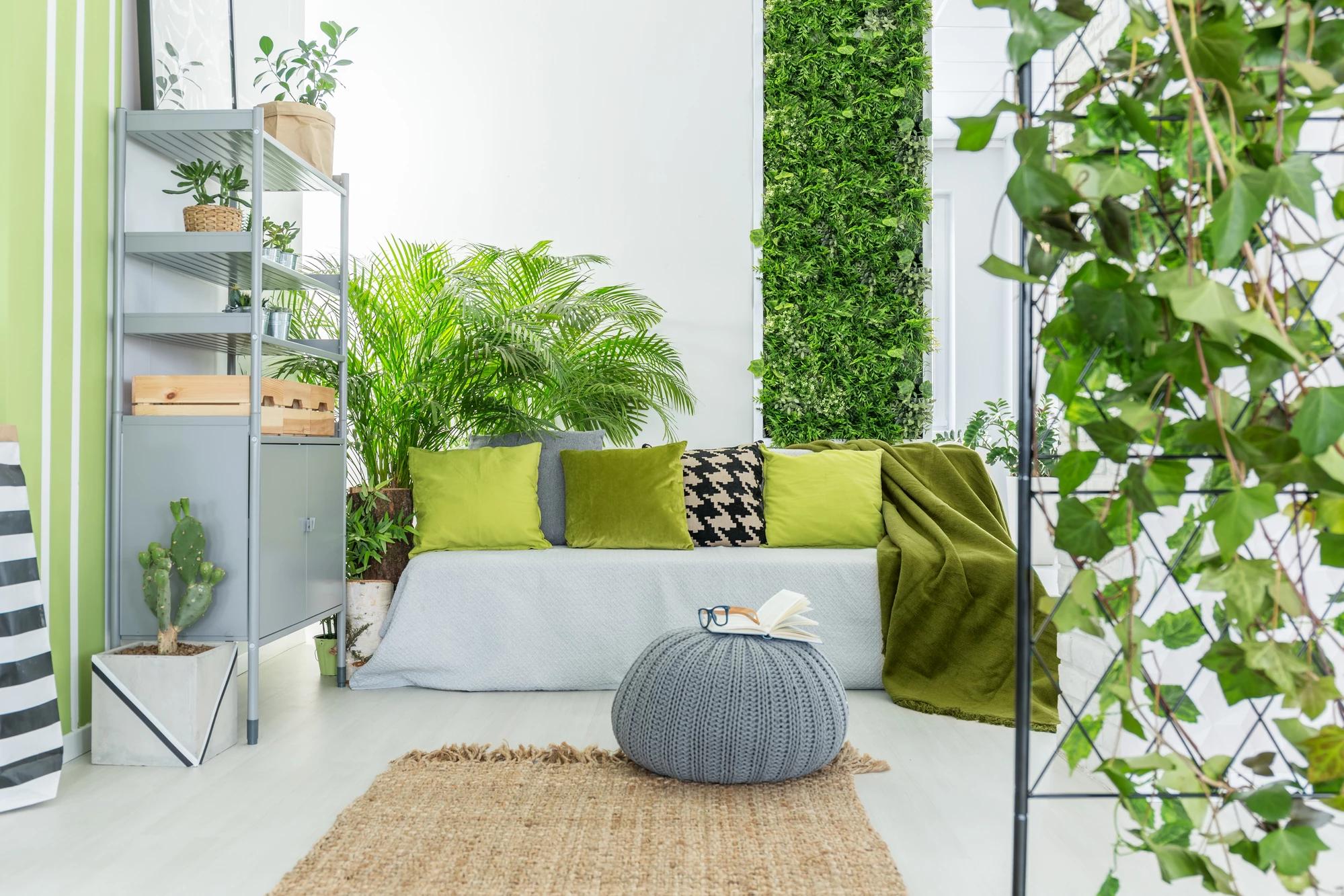Plants may be nice to have around, but new research suggests opening a window could more effectively clear the air in an indoor space