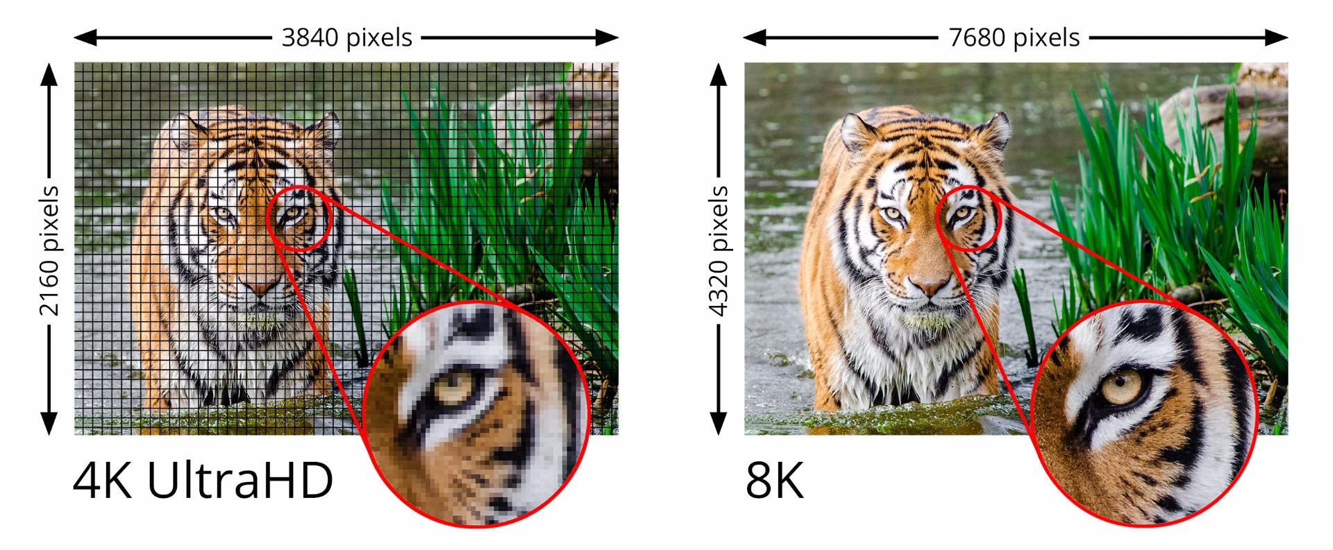 Resolution comparison between 4K and 8K