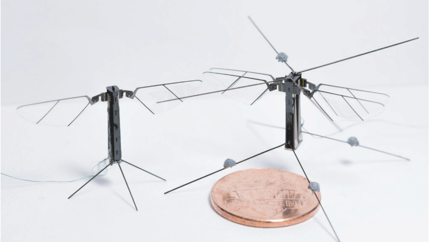 The four-winged Bee+ (on right) next to a two-winged model