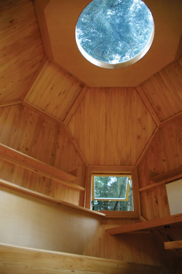 The abundance of windows eliminates the need for lighting during the day