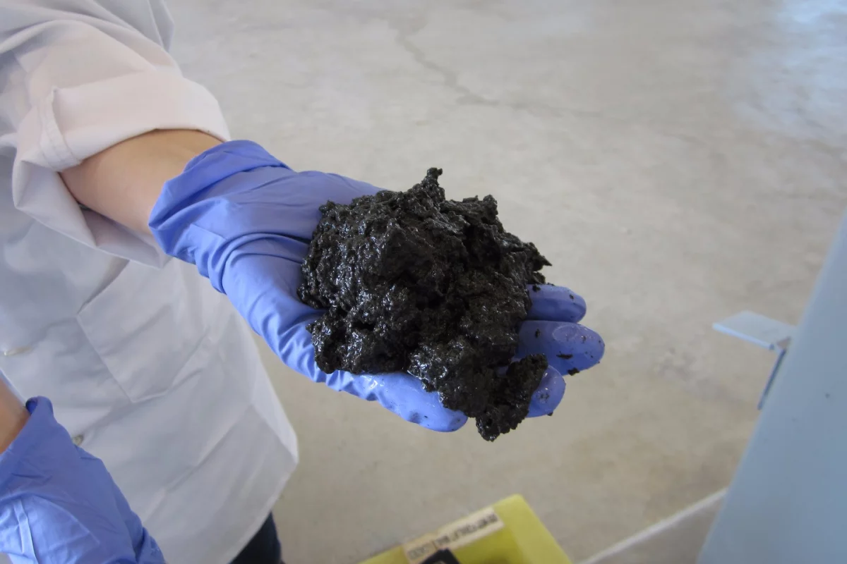 Sludge from Metro Vancouver’s wastewater treatment plant has been dewatered prior to conversion to biocrude oil at Pacific Northwest National Laboratory