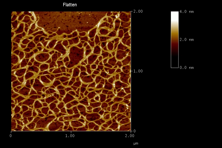 The super gel's "nano ropes," linked together to form a net-like structure (Photo: Radboud University Nijmegen)