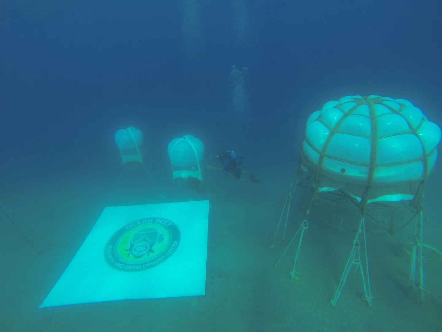 The project comprises three biospheres at a depth between 6 and 9 meters (20-30 ft) below sea level