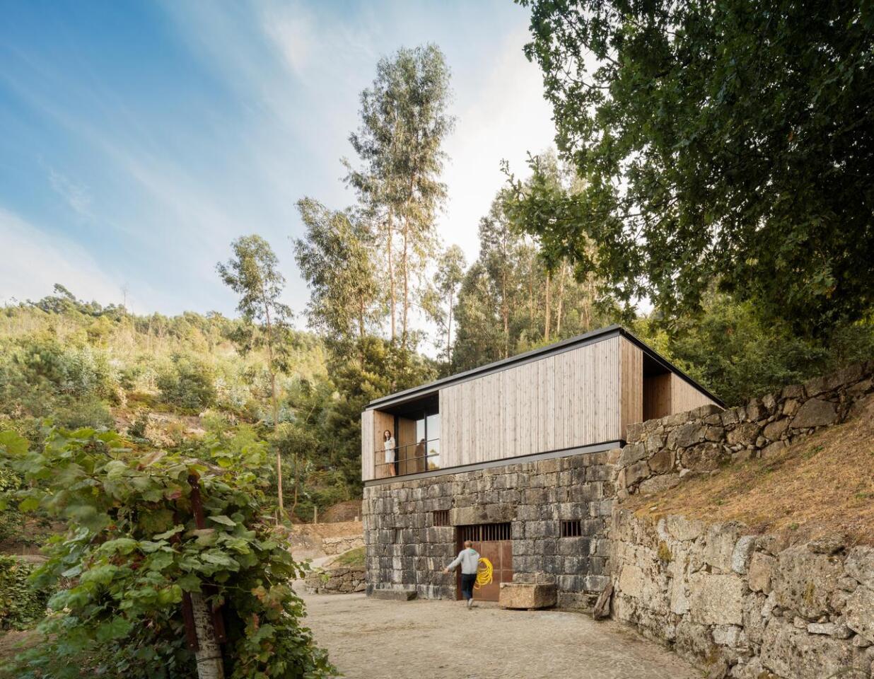 Pavilion House is separated from the main house by the surrounding vineyard and forest landscape